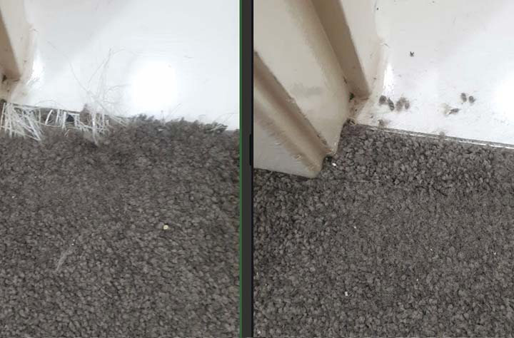 Can Carpet Stretching Fix Wrinkles?
