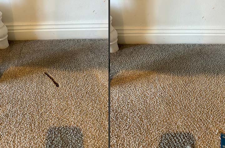 Common Carpet Problems That Can Be Repaired